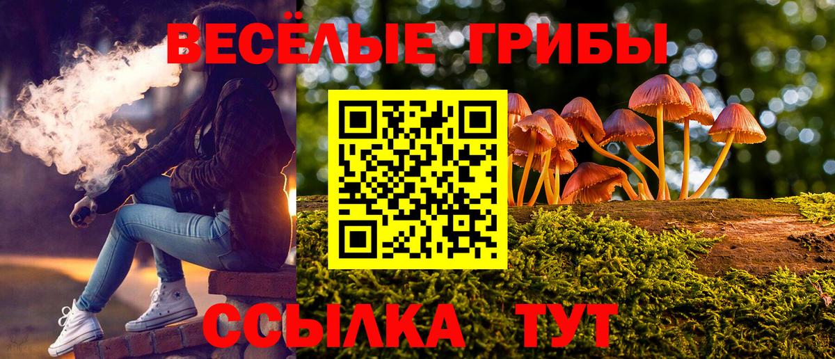 Галлюциногенные грибы Cubensis Мытищи